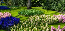 How Snow Season Impacts Your Landscaping – and What to Do About It