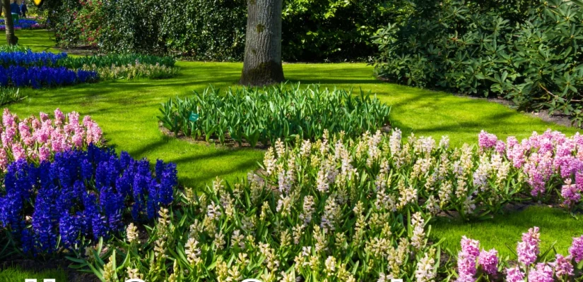 How Snow Season Impacts Your Landscaping – and What to Do About It