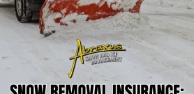 Snow Removal Insurance: What Clients Should Ask Their Provider