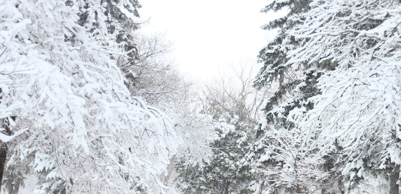 Why Think About Snow While the Sun Is Blazing?