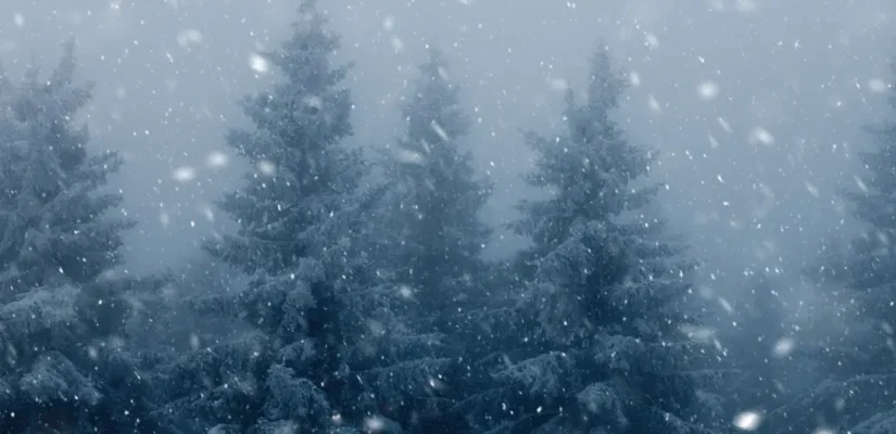 Winter is Coming: 5 Things to Finalize Before the First Snowfall
